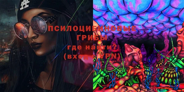 каннабис Алзамай