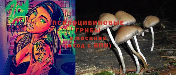 каннабис Алзамай