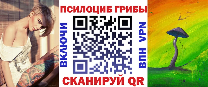 Галлюциногенные грибы Cubensis  сколько стоит  Менделеевск 